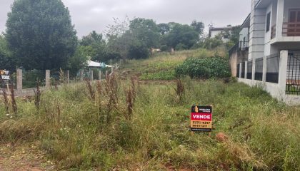 WhatsApp Image Oct 28 2025